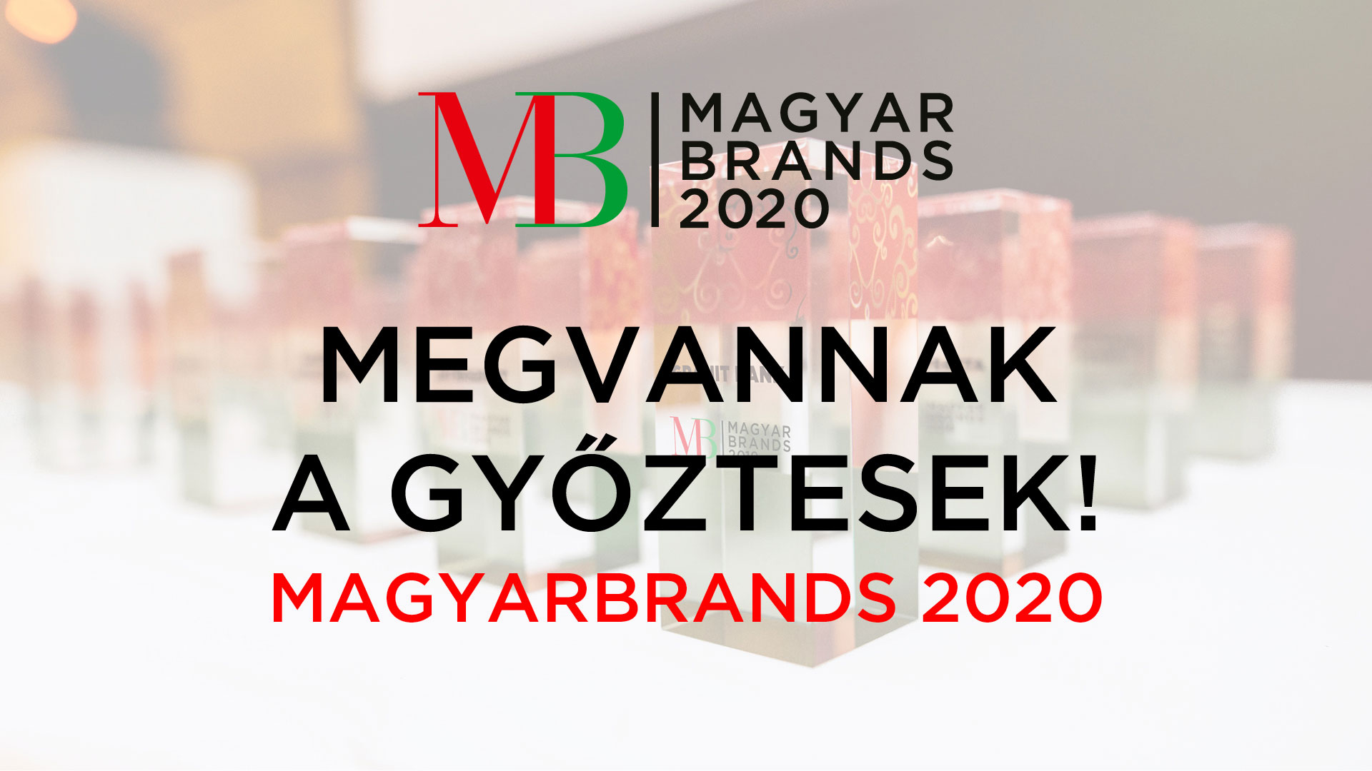 MagyarBrands elismerésben részesült a Testnevelési Egyetem